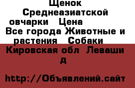 Щенок Среднеазиатской овчарки › Цена ­ 35 000 - Все города Животные и растения » Собаки   . Кировская обл.,Леваши д.